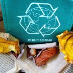 Los mejores planes de reciclaje en el mundo